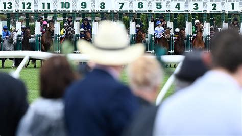 melbourne cup 2023 favourites|Melbourne Cup 2023 form guide, every horse rated, tips, odds, .